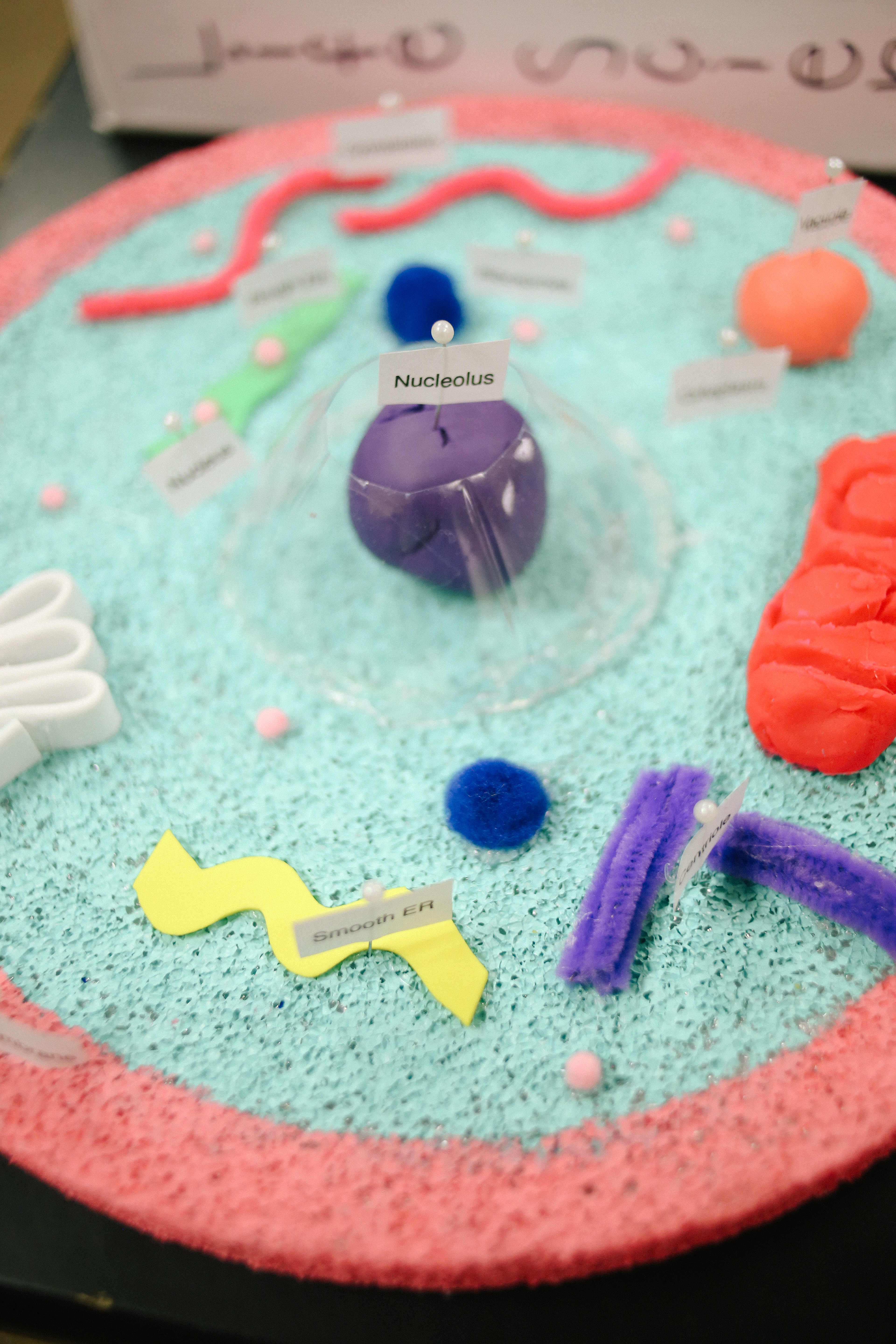 7th Cell Project(TA)-8